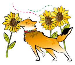 HAPPY DORRY sticker #12702312