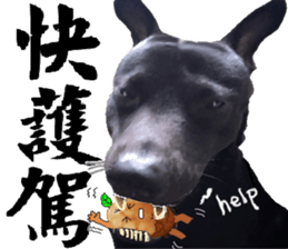 boiled egg in tea sticker #12704947