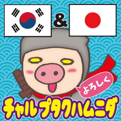 Korean pig Ninja