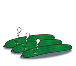 Smile sticker of vegetables sticker #12708053