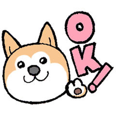 The Smart Dog In Japan.