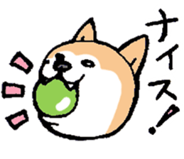 The Smart Dog In Japan. sticker #12711536