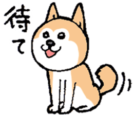 The Smart Dog In Japan. sticker #12711539