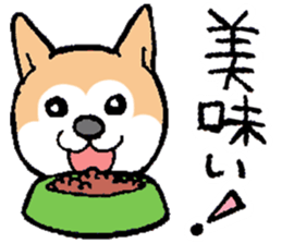 The Smart Dog In Japan. sticker #12711541