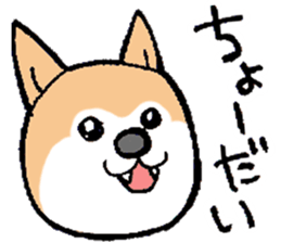 The Smart Dog In Japan. sticker #12711546