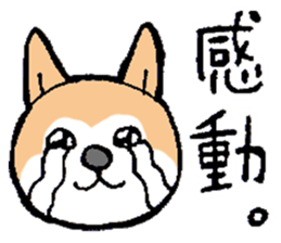 The Smart Dog In Japan. sticker #12711552