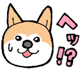 The Smart Dog In Japan. sticker #12711559