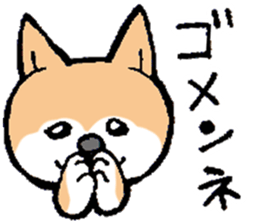 The Smart Dog In Japan. sticker #12711562