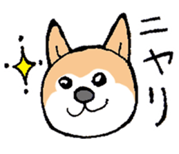 The Smart Dog In Japan. sticker #12711563