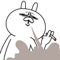 Rabbit expression is too rich(Anime3)