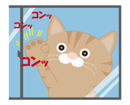 My neme is chat sticker #12717414