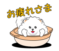 Move! Pomeranian 4 sticker #12717463