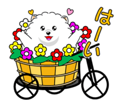 Move! Pomeranian 4 sticker #12717466