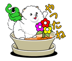 Move! Pomeranian 4 sticker #12717477