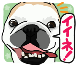 French bulldog family12 sticker #12718076