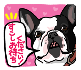 French bulldog family12 sticker #12718096