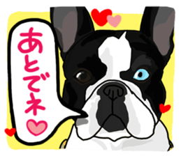 French bulldog family12 sticker #12718107