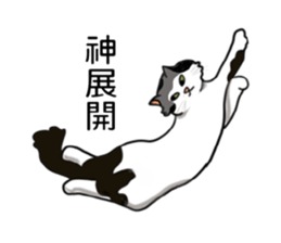 Stan loves to make friends. sticker #12719617
