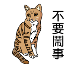 Stan loves to make friends. sticker #12719637
