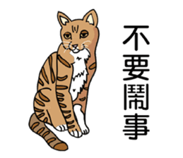 Stan loves to make friends. sticker #12719637