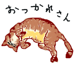 About cat's sticker #12721369