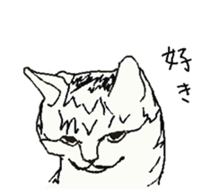 About cat's sticker #12721370