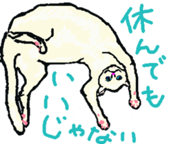 About cat's sticker #12721373