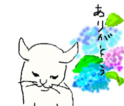 About cat's sticker #12721376