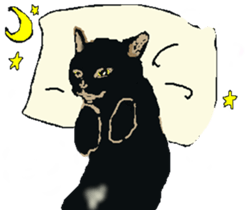 About cat's sticker #12721381