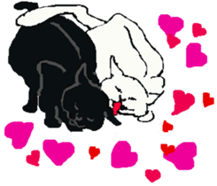 About cat's sticker #12721385