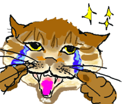 About cat's sticker #12721397