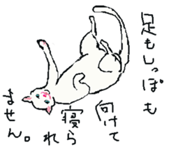 About cat's sticker #12721401