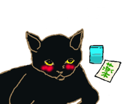 About cat's sticker #12721402