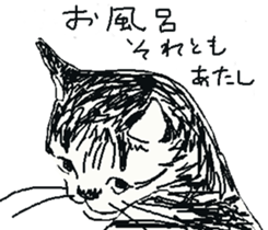 About cat's sticker #12721404