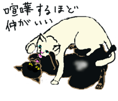 About cat's sticker #12721405