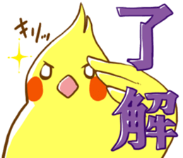 Every day's a cockatiel sticker #12722293