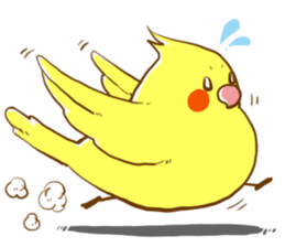 Every day's a cockatiel sticker #12722298
