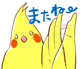 Every day's a cockatiel sticker #12722301