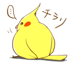 Every day's a cockatiel sticker #12722308