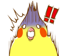 Every day's a cockatiel sticker #12722309