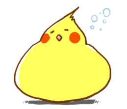 Every day's a cockatiel sticker #12722311
