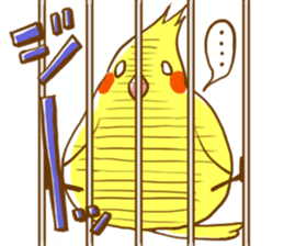 Every day's a cockatiel sticker #12722314