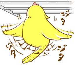 Every day's a cockatiel sticker #12722319