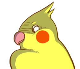 Every day's a cockatiel sticker #12722323