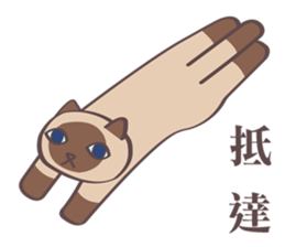 The Capricornus Cat, Black Agate sticker #12723248