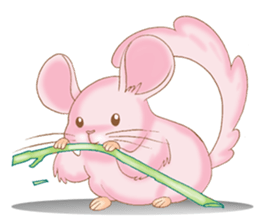 Chinchilla Wing sticker #12723855