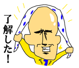 TRP TURRUPA security sticker #12725524