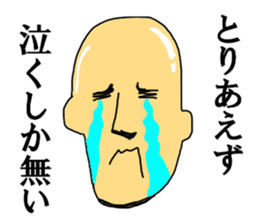 TRP TURRUPA security sticker #12725530