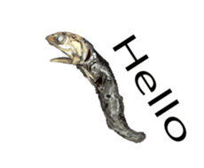 (anime)Dried sardine English version sticker #12727758