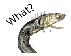 (anime)Dried sardine English version sticker #12727759